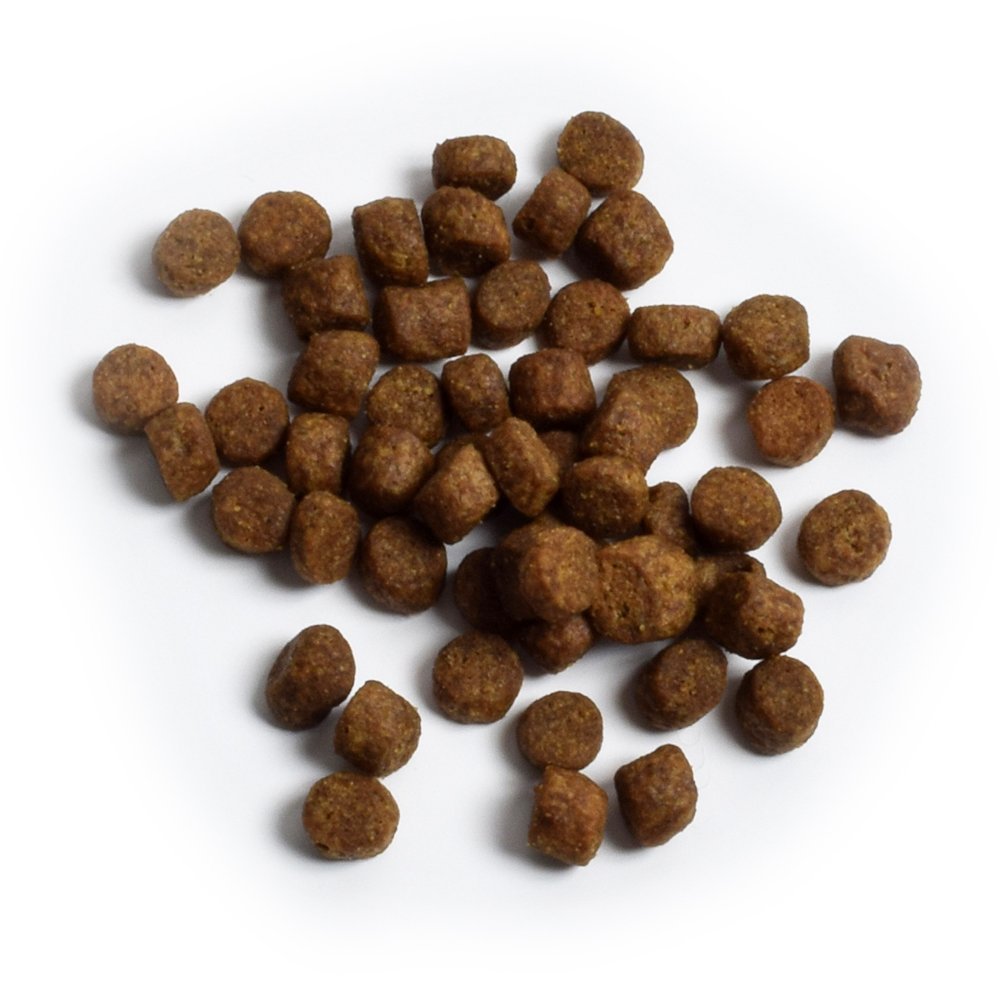Open Farm Grain Free Wild-Caught Salmon Recipe Dry Dog Food