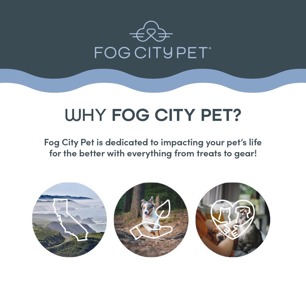 Fog City Pet Southwest Snack Pack Trio Plush Catnip Cat Toys, 3-Pack